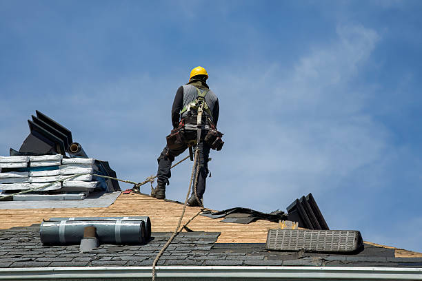 Professional Storm Damage Roof Repair technician working in Lena, MS